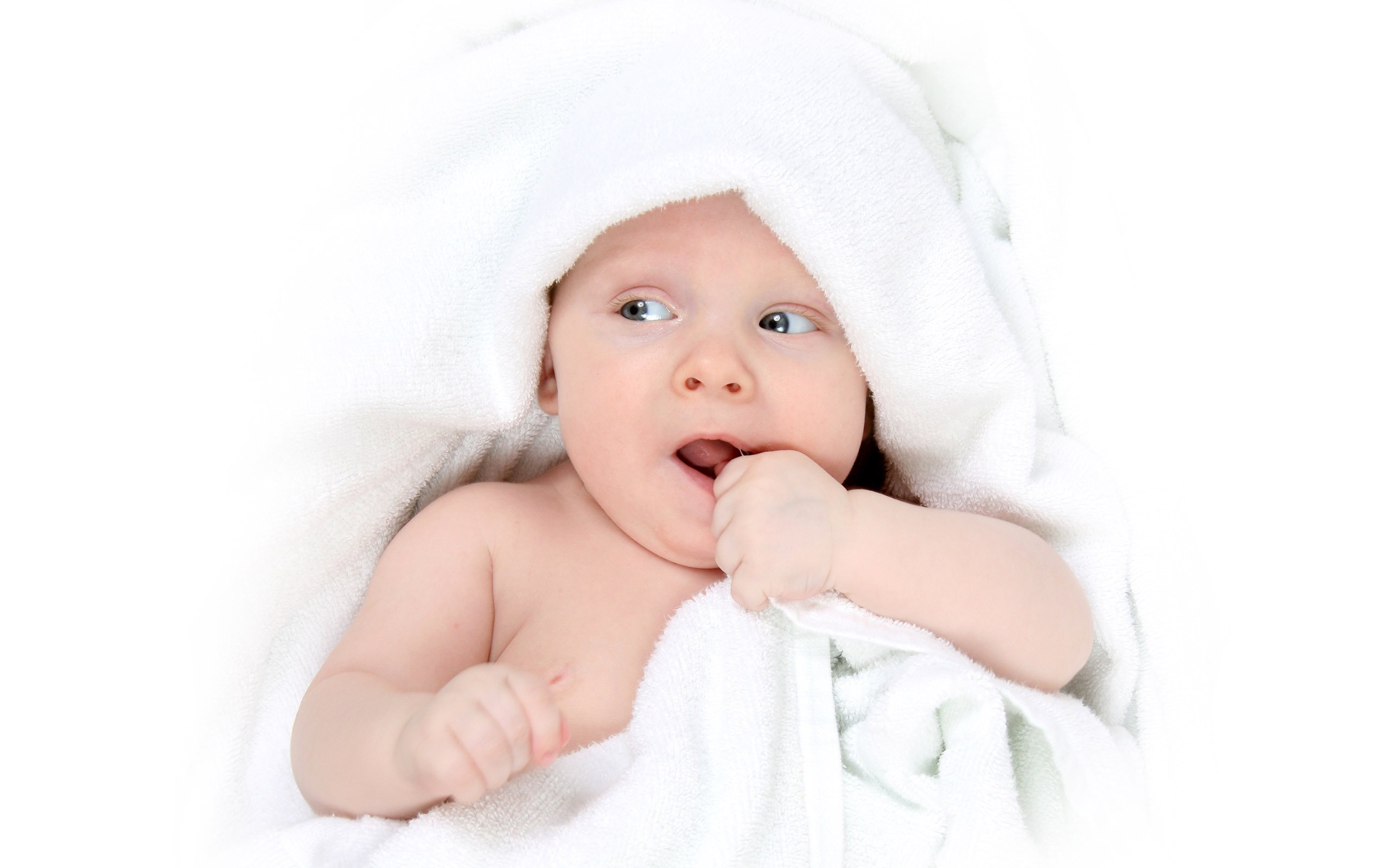 借卵机构第三代试管婴儿有成功的吗